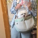 히어로 | 경주 천북 실내애견동반 양식맛집 가든히어로 후기