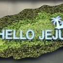 힐하우스호스텔 이미지