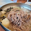 봉평고향막국수 이미지