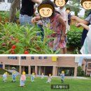 봉암초등학교병설유치원 이미지