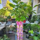 수원시 팔달구 향교로 이미지