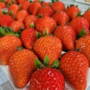 금실농장 이미지