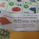 지티마트24