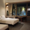 블란디야 이미지