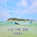 서프61 | 강원도 고성 서핑 강습 파도타기 좋은 송지호해변 서프61