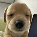 본마케팅 이미지