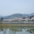 봄