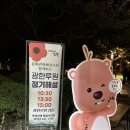 프로포즈 벤치 | 남원 가볼만한 곳 야경 불빛 축제ㅣ광한루원, 송월교