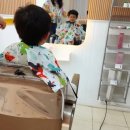 기승전컷