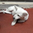 좌수영로 이미지