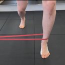 대연동 스포츠센타 | 대연동 PT 재활 후기 - 발목 재활, 부주상골, 외측인대 미세파열