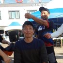 고성왕새우