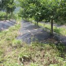 한울농원 이미지