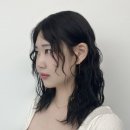 파인트리헤어살롱 네이버블로그
