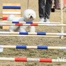 문암생태공원(반려견놀이터) 이미지