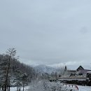 월리584 | [강원도 여행]강원도 양양 독채 펜션 월리584 후기 겸 여행 조금(내돈내산펜션,양양펜션,양양에어비앤비...