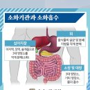아라한의원 이미지