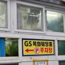울산정자참가자미회타운 | 울산 달동 찐맛집 가성비 최고인 정자참가자미 가자미회정식 후기