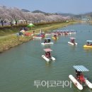 순창 옥천골벚꽃축제, 4월 5일부터 나흘간 벚꽃잔치 이미지