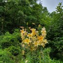 군익로2길~학곤로20길 | 익산시 장기요양기관 찾기