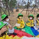 봄 숲으로 가자 이미지