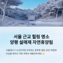 용천리 곡강교 인근 화장실 | 서울 근교에서 이 뷰가? 양평 설매재 자연휴양림 꿀팁 총정리 (캠핑, 통나무 숙소 명당)