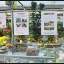 일순농장 이미지