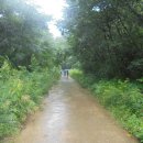 광원리 월둔교 이미지