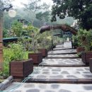 카페노랑 이미지