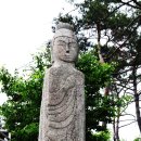 천태로 Daum카페