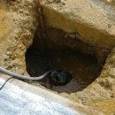 음현리마을회관 이미지