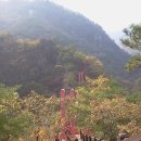 강천산(대구) 이미지