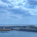 오베르망 이미지