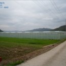 청풍면사무소 이미지