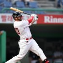 브라운 로 이미지