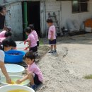 행정초등학교 병설유치원 이미지