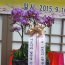 하모나라 이미지