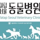 야탑서울동물병원 이미지