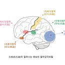 붓다와 뇌과학 15 | 전오식 이미지