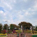 벽오동 중화요리 이미지