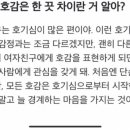 꼬꼬포차 - 춘천시 | 꼬꼬포차