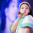 모모투어