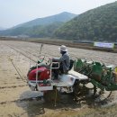 홍천군농업기술센터 이미지