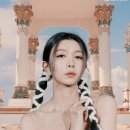 다미컴퍼니 이데일리