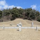 이중인 묘 이미지