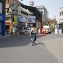 인성체육사