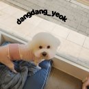 송내동3 이미지