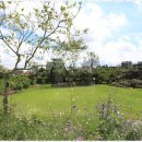 삼양펜션 이미지