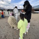 동구목장 이미지