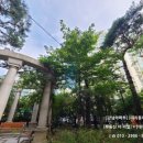 대치2-104 네이버블로그